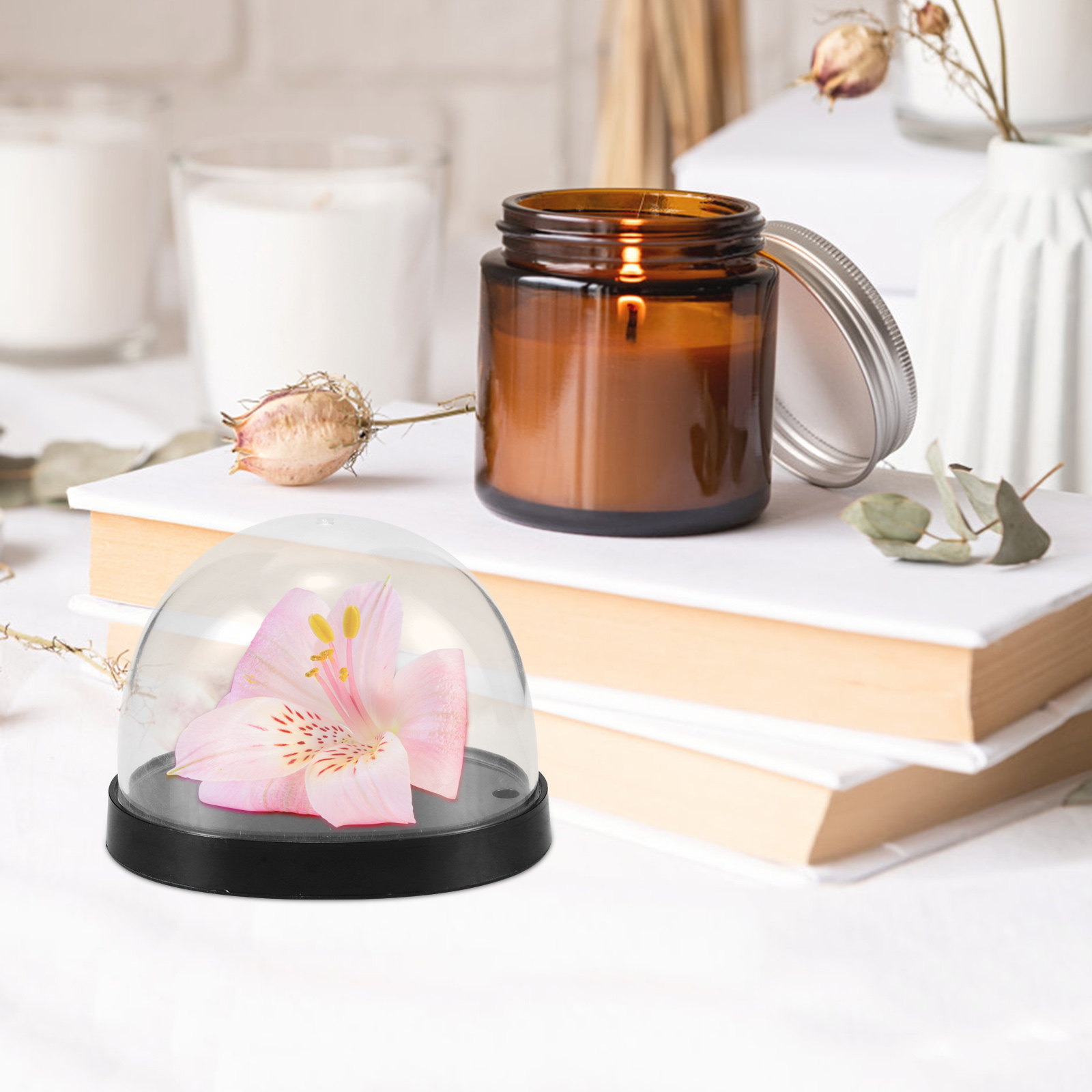 5Sets Glass Cloche Dome High T – обзор и цена Plastic Dome Clear