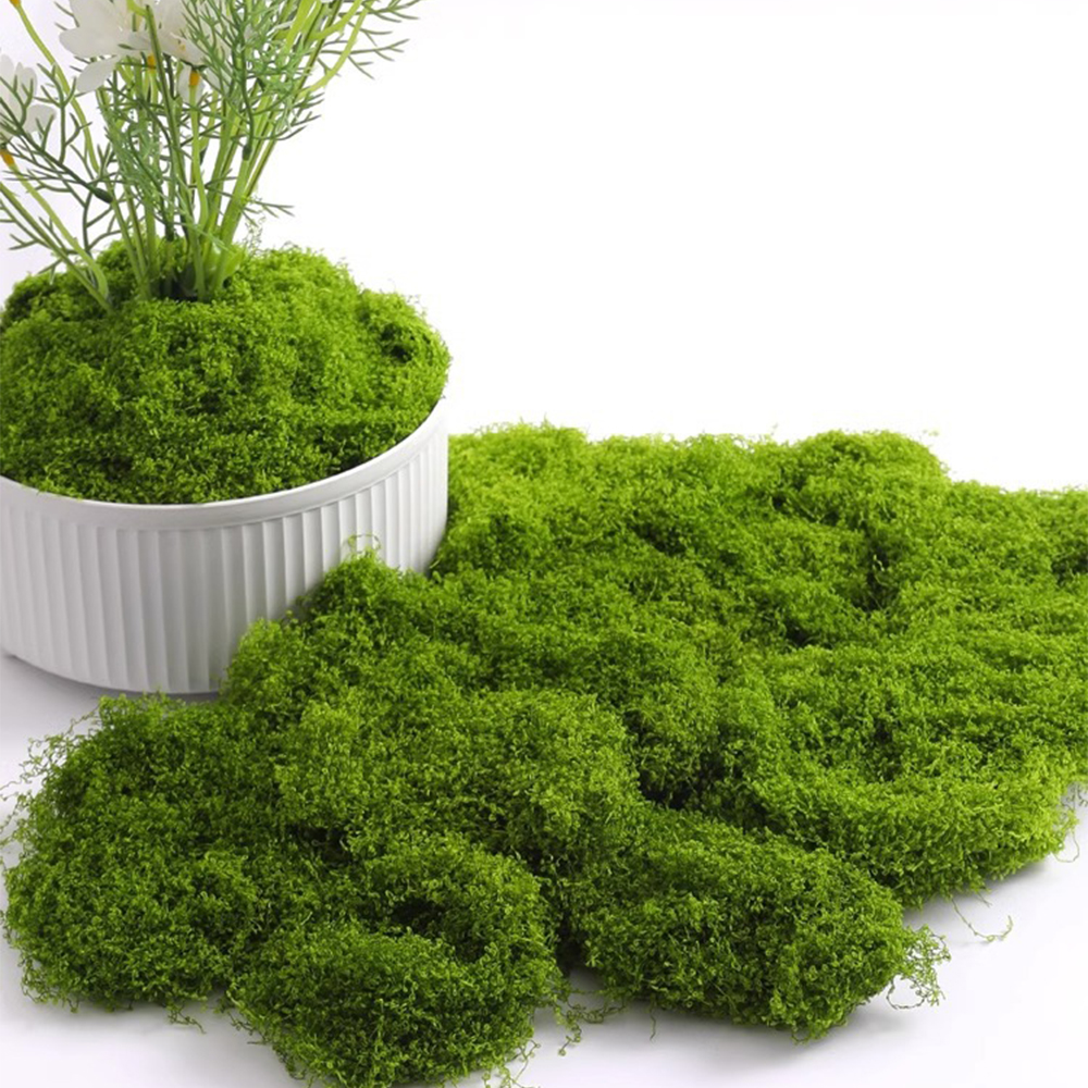 Eternal Life Moss DIY Crafts G – обзор и цена Sphagnum Moss Dry