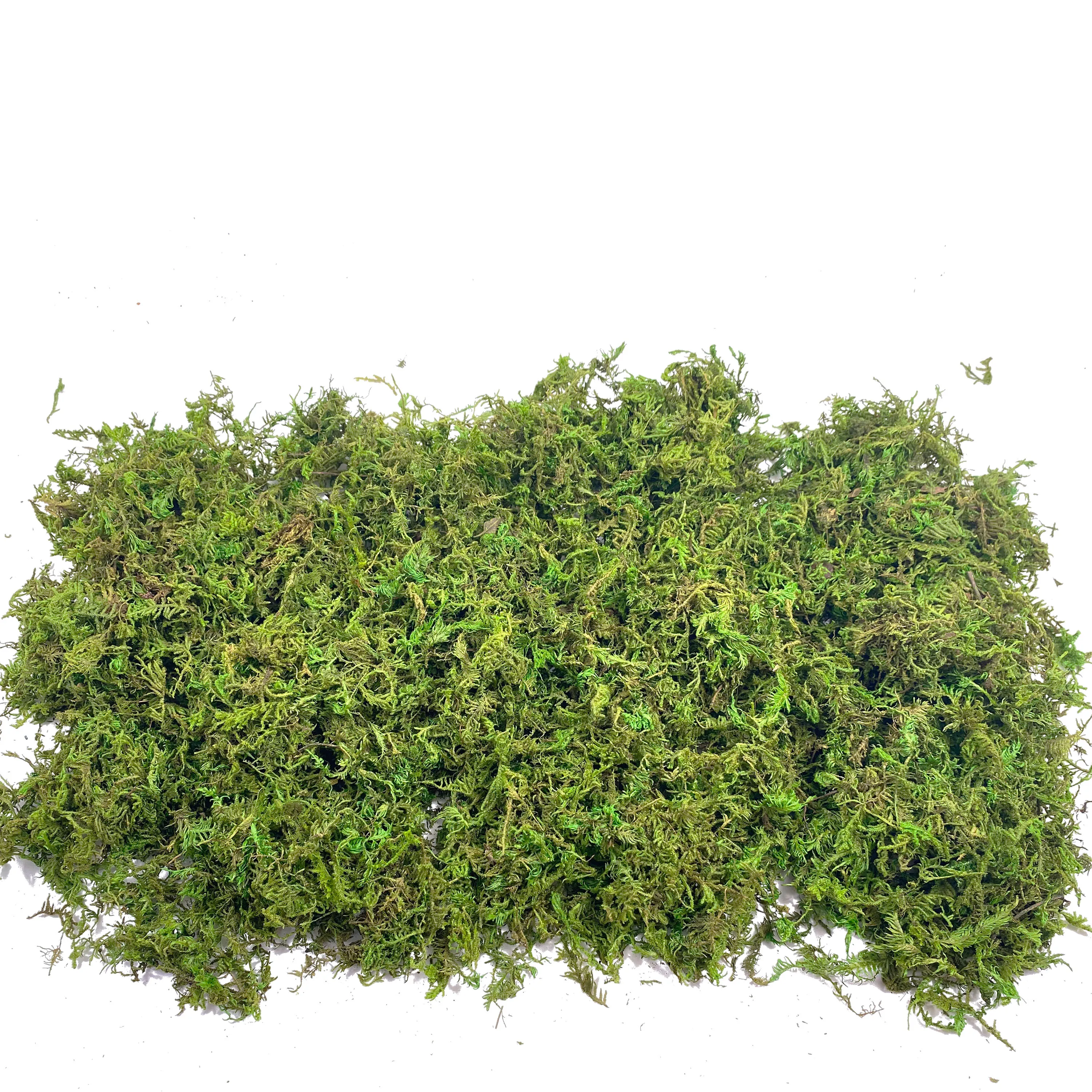 Fake Moss Artificial Moss for  – обзор и цена Sphagnum Moss Dry
