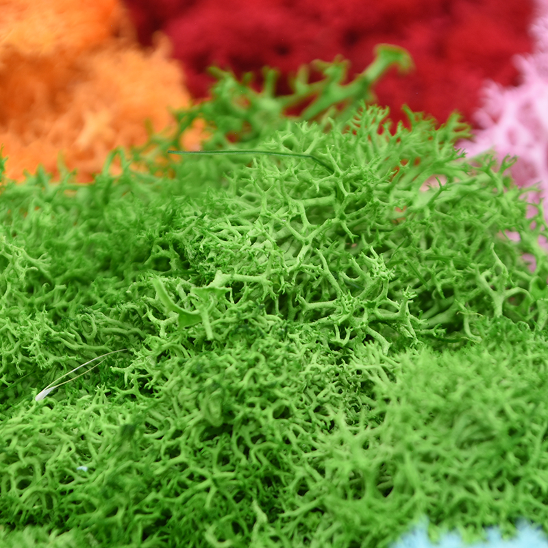 20/40g Artificial Green Plants – обзор и цена Sphagnum Moss Dry