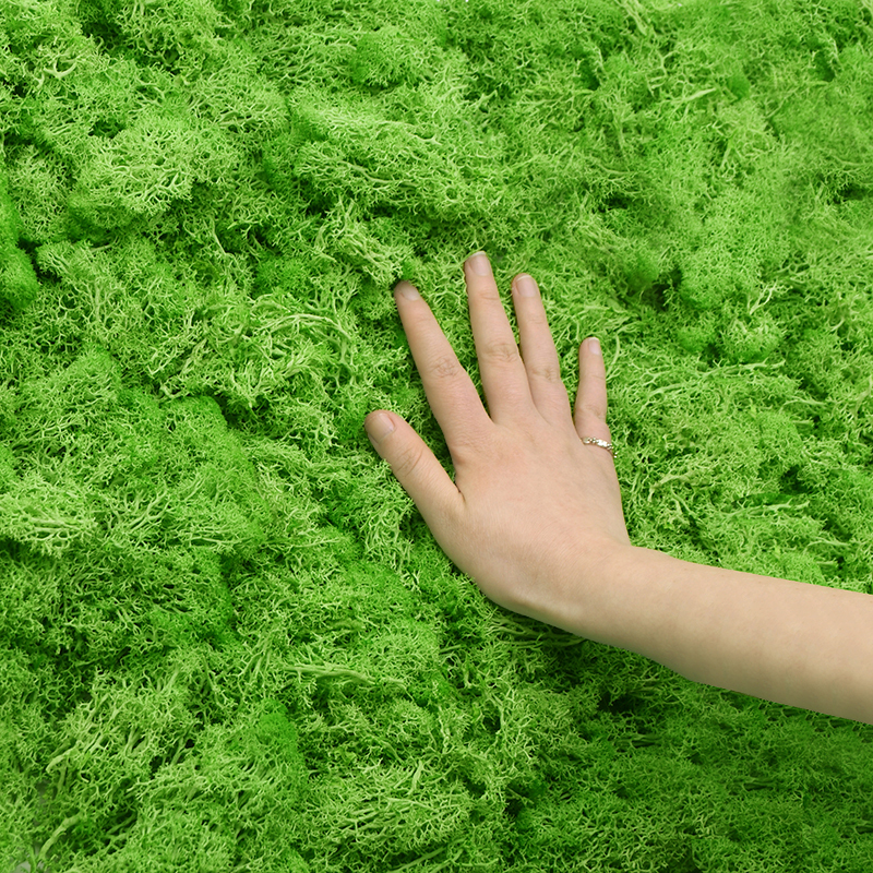 20/40g Artificial Green Plants – обзор и цена Sphagnum Moss Dry