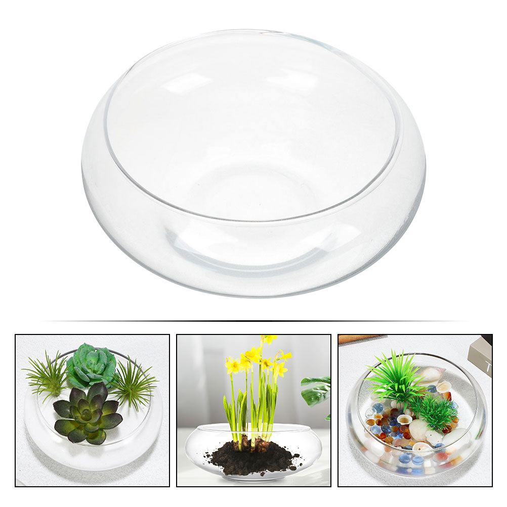 Wide Mouth Glass Vase Narcissu – обзор и цена Propagation Station Vase