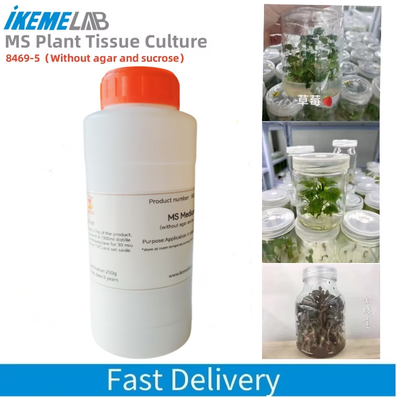 IKEME 250g Lab MS Medium Witho – обзор и цена Agar Tissue Culture