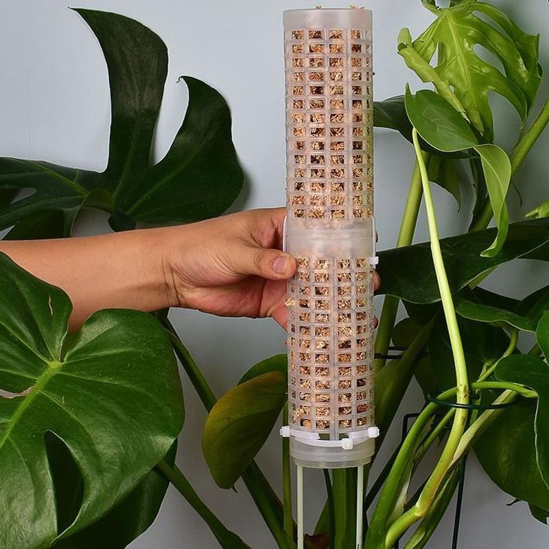 Accessory Plastics Moss Pole S – обзор и цена Sphagnum Moss Dry