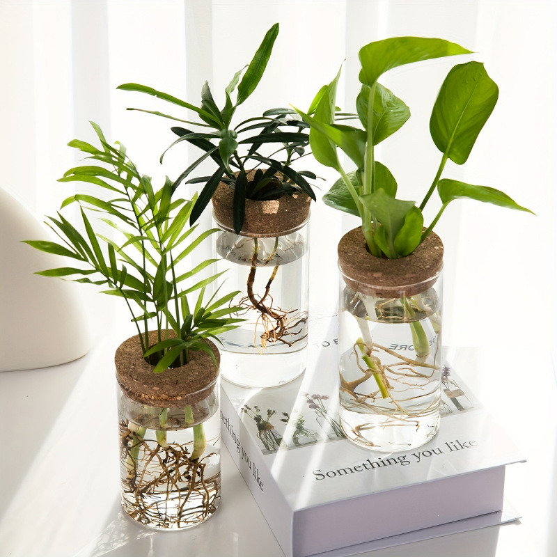 1pc, Hydroponics Plants Deskto – обзор и цена Propagation Station Vase