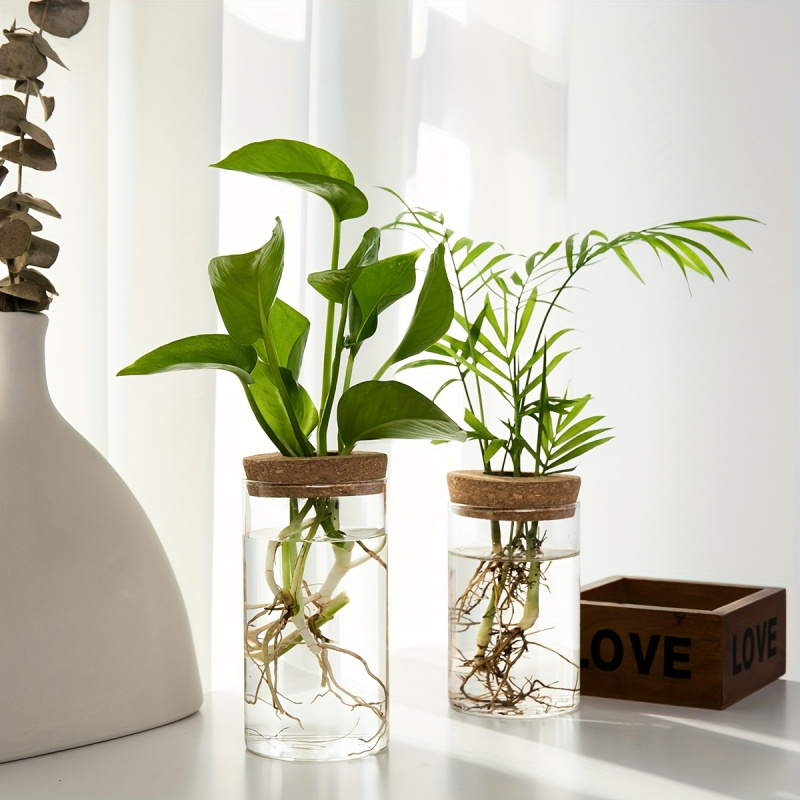 1pc, Hydroponics Plants Deskto – обзор и цена Propagation Station Vase