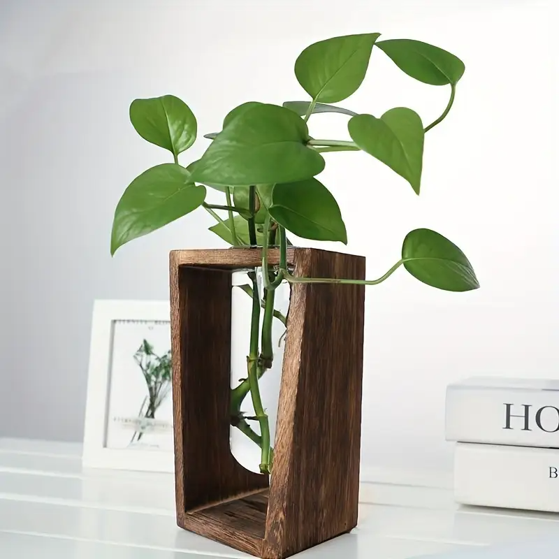 Modern Wood Propagation Vase - – обзор и цена Propagation Station Vase
