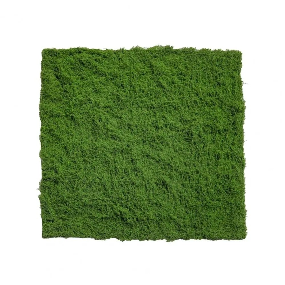 DIY Artificial Grass Rug Durab – обзор и цена Sphagnum Moss Dry