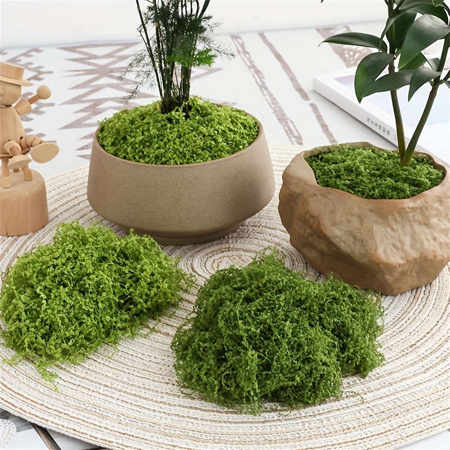 1pack Artificial Fake Moss, 1. – обзор и цена Sphagnum Moss Dry