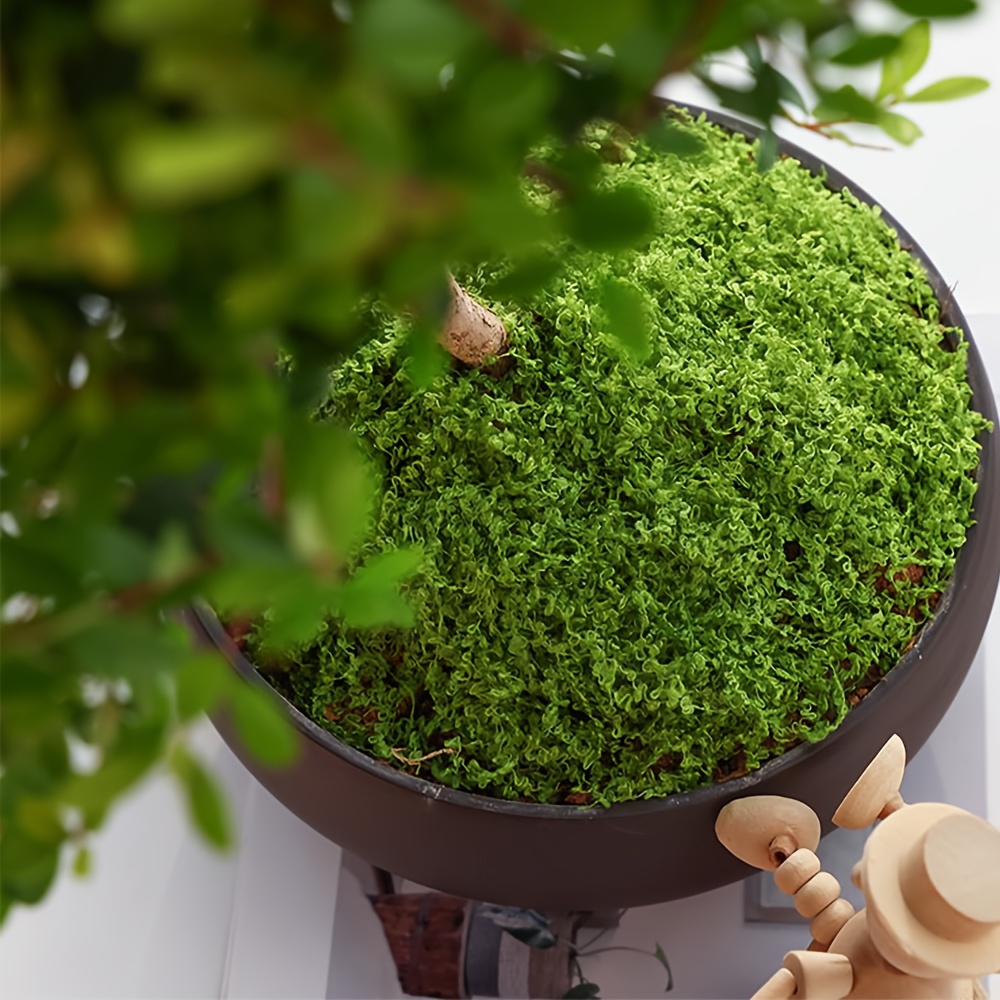1pack Artificial Fake Moss, 1. – обзор и цена Sphagnum Moss Dry