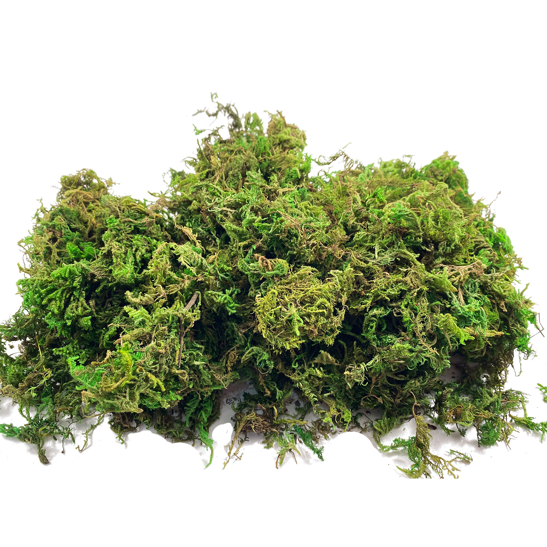 Artificial Fake Moss, Craft Mo – обзор и цена Sphagnum Moss Dry