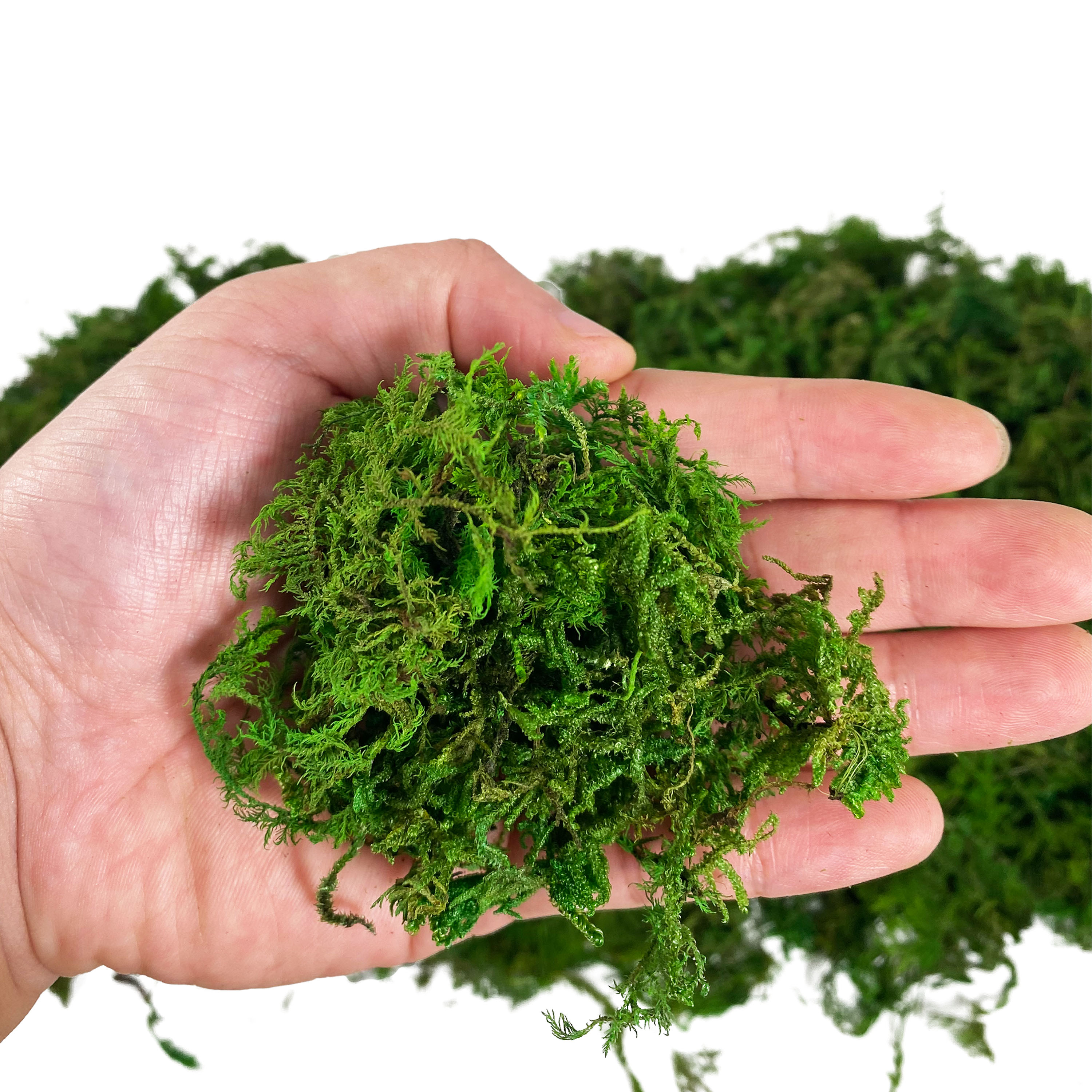 Artificial Fake Moss, Craft Mo – обзор и цена Sphagnum Moss Dry