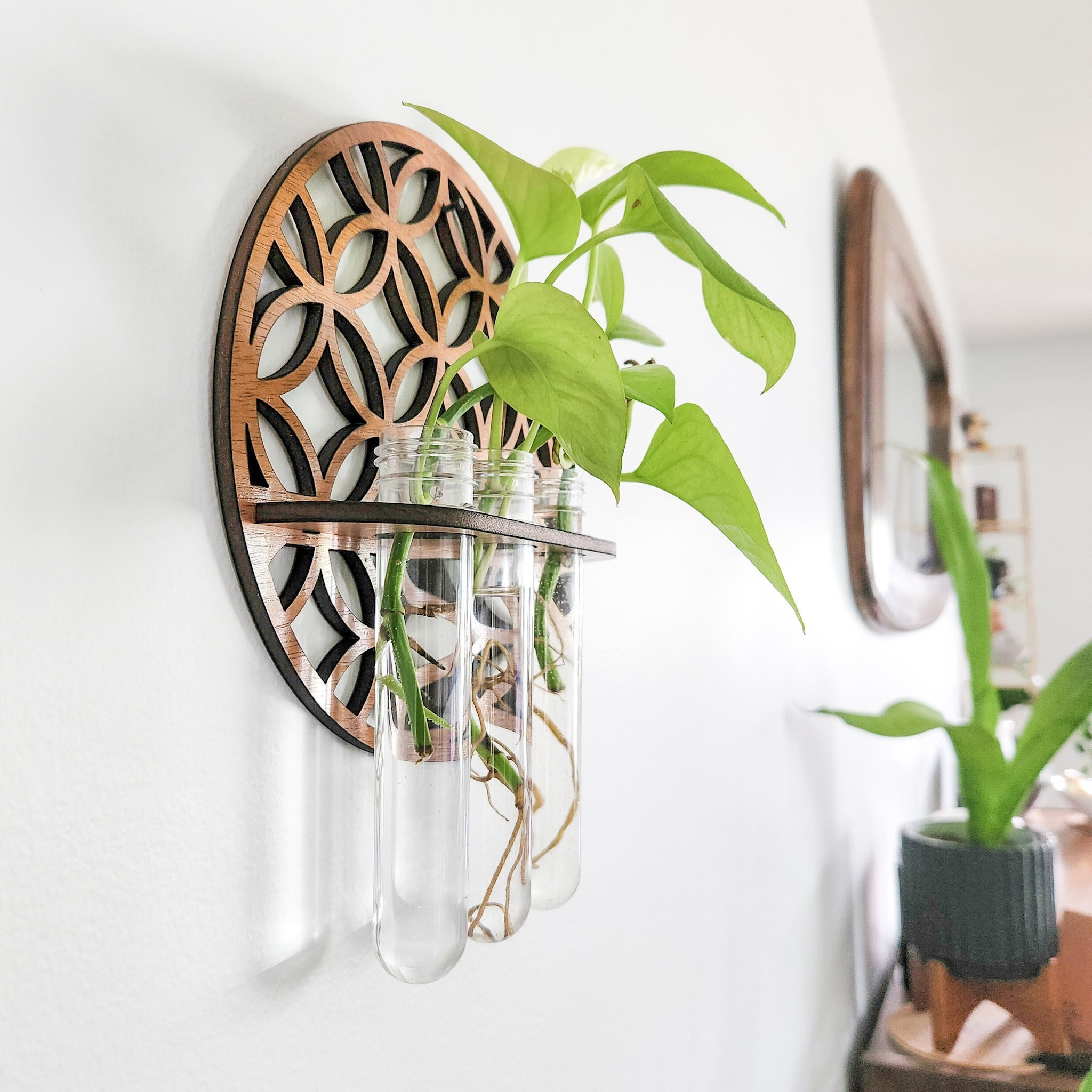 Garden Wall Planters Indoor Wo – обзор и цена Propagation Station Vase
