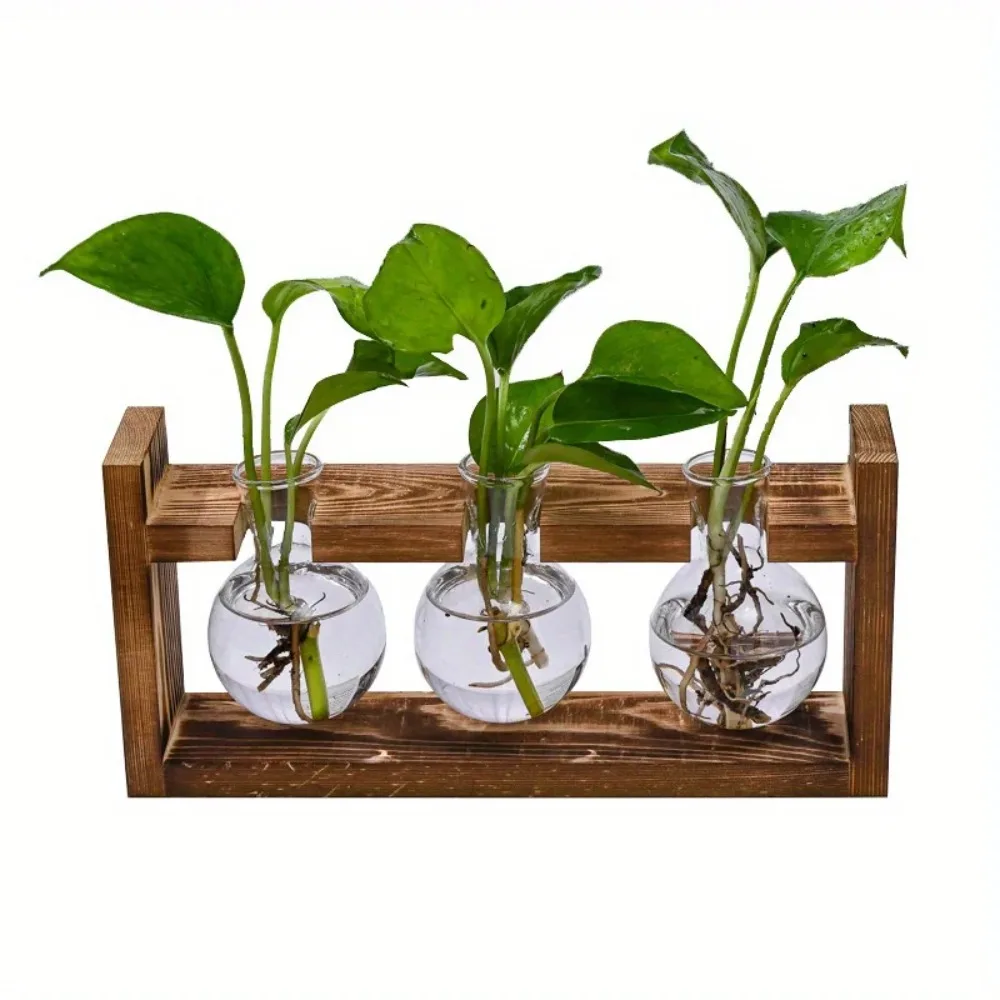Tabletop Glass Planter Propaga – обзор и цена Propagation Station Vase