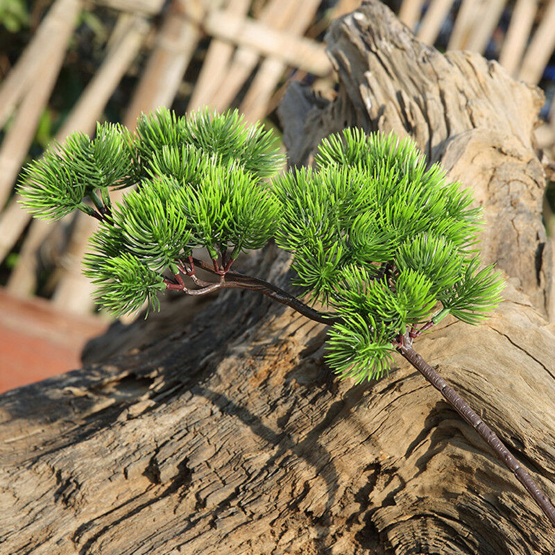 42cm Artificial Plant Pine Bra – обзор и цена Sphagnum Moss Dry