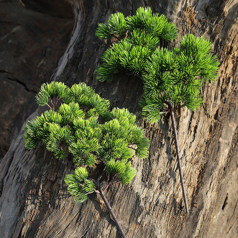 42cm Artificial Plant Pine Bra – обзор и цена Sphagnum Moss Dry