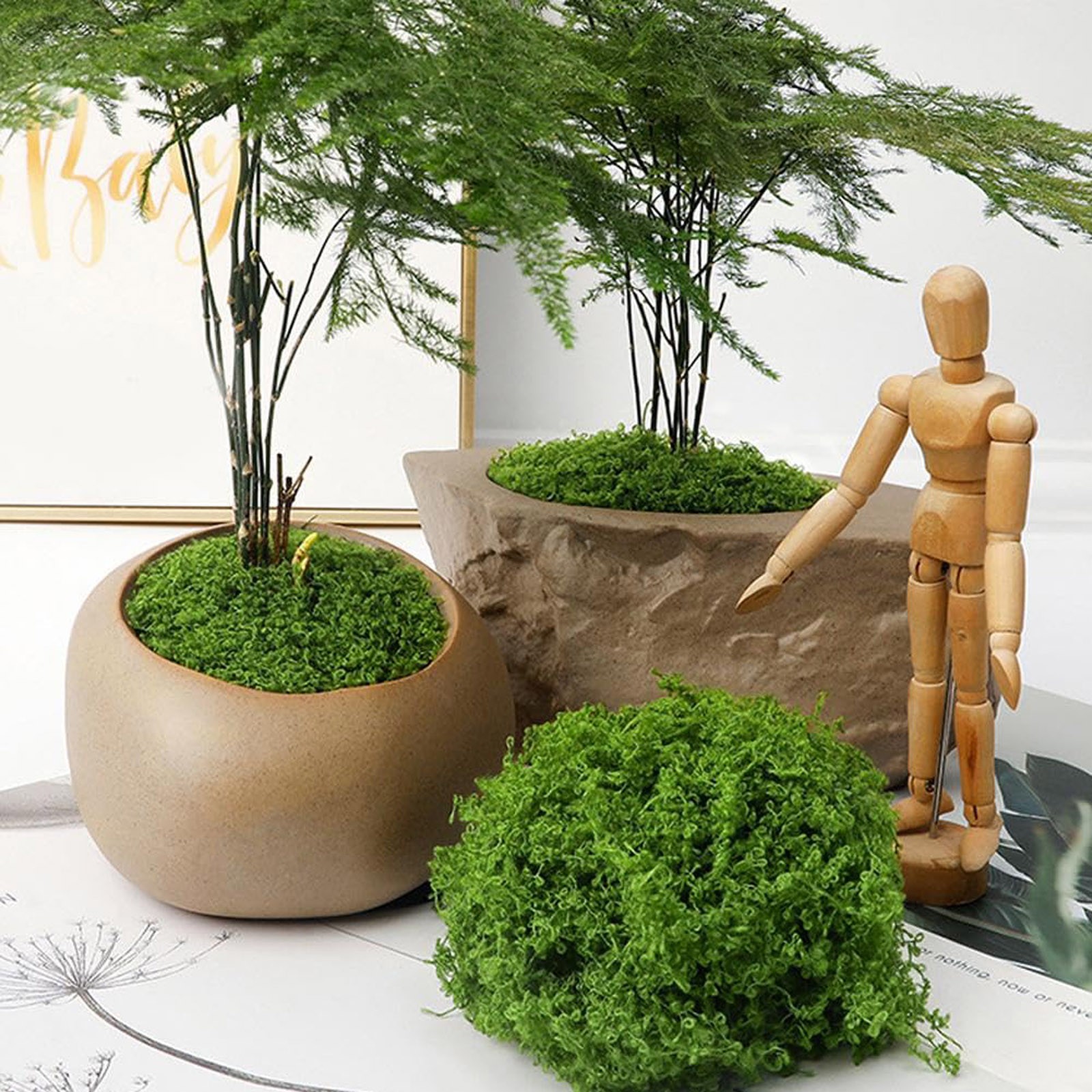 50/200g Artificial Moss For De – обзор и цена Sphagnum Moss Dry