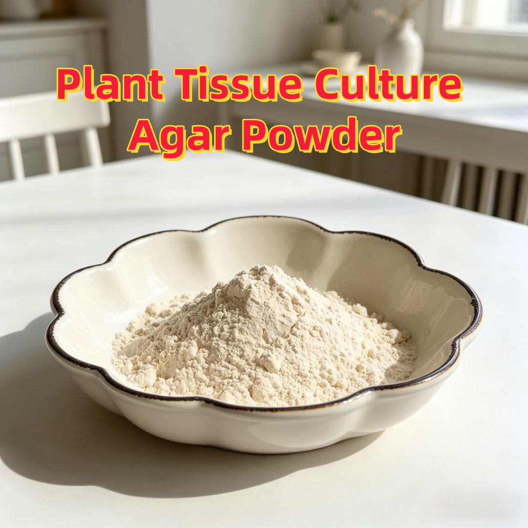 High Gel Strength Plant Tissue – обзор и цена Agar Tissue Culture
