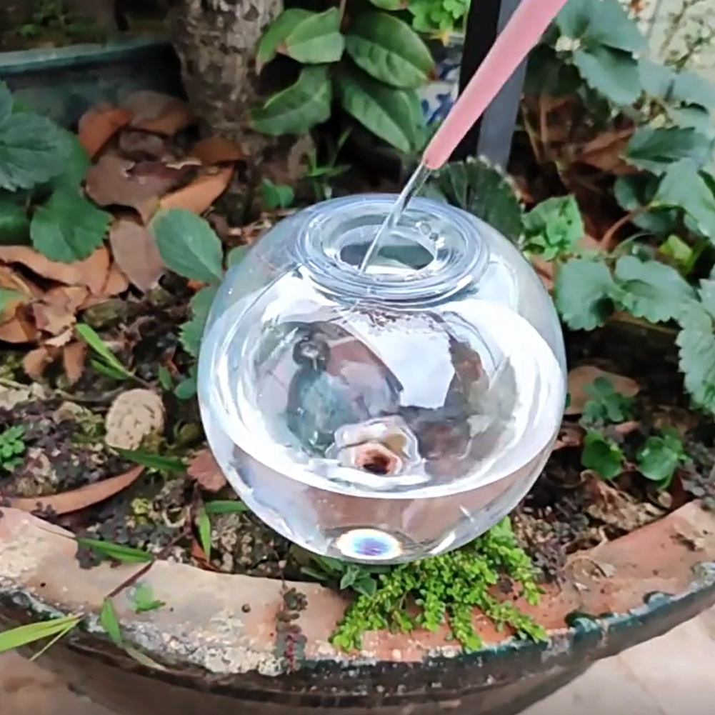 500ML Self Watering Globes Dri – обзор и цена Self Watering Insert