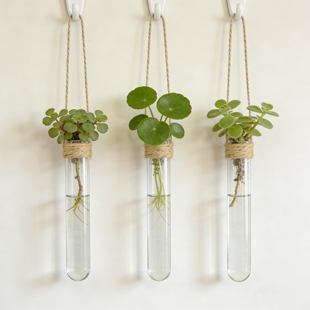 Hydroponic Flower Vase Wall-Mo – обзор и цена Propagation Station Vase