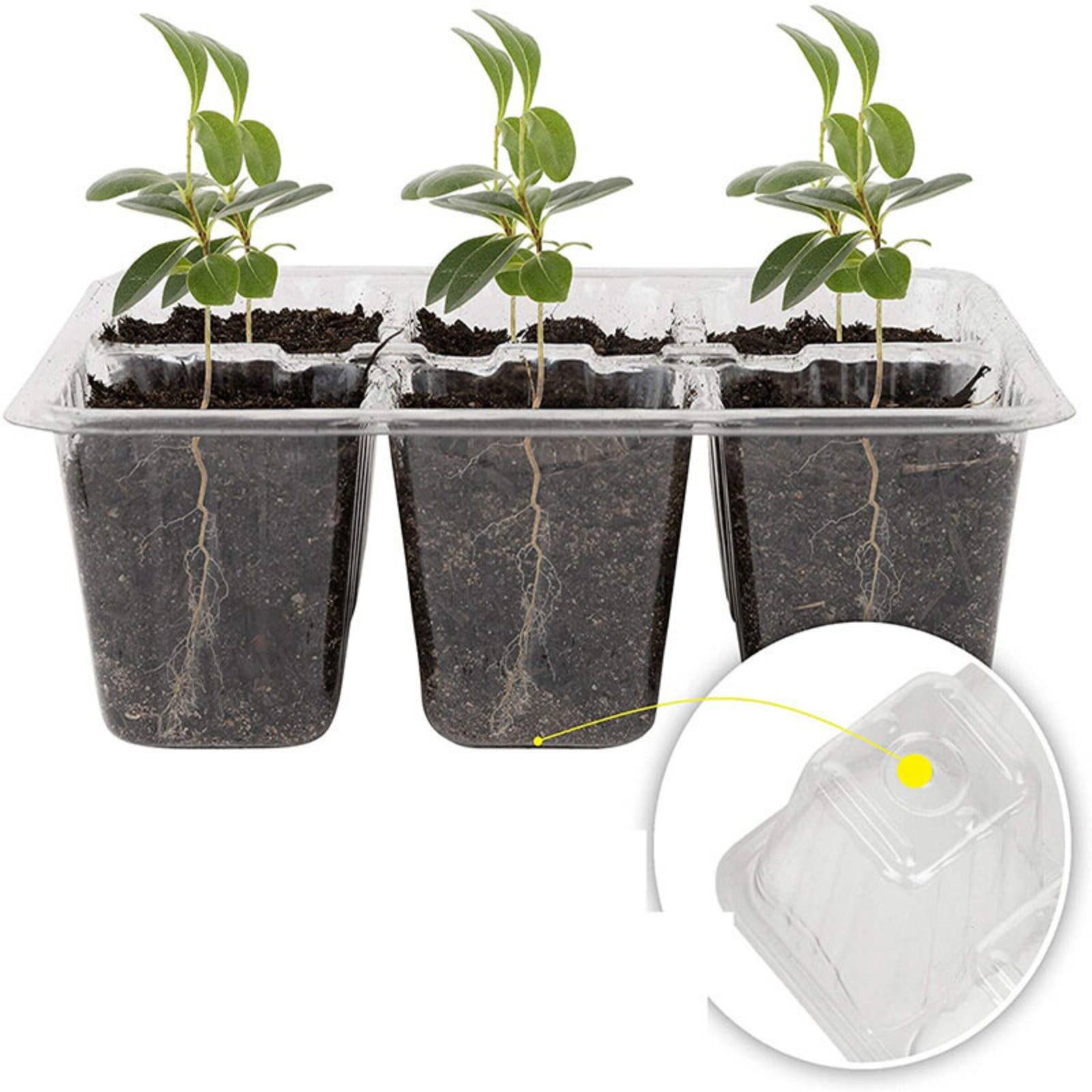 12 Compartment Germination Tra – обзор и цена Humidity Dome Kit
