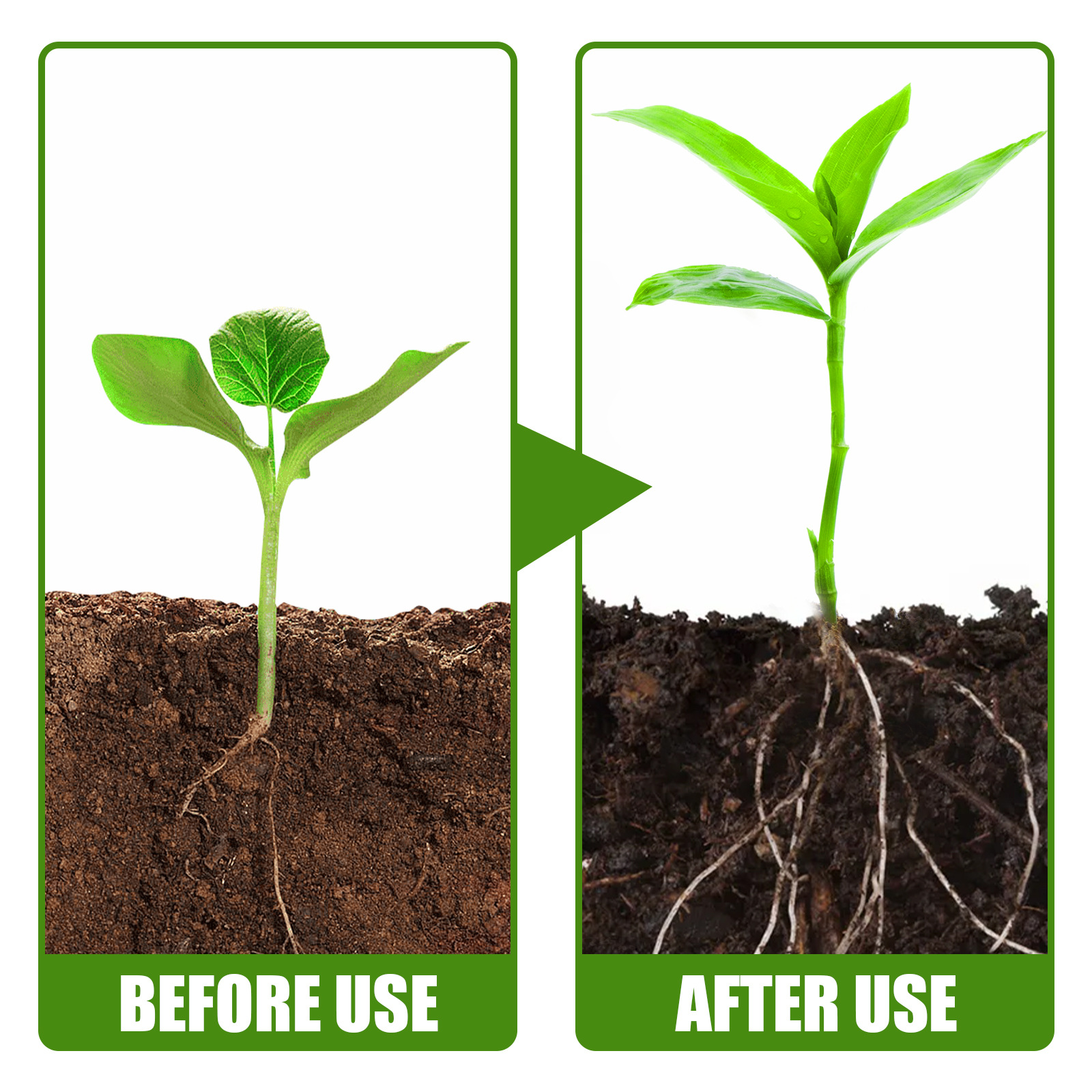 1Rare Plant Rooting Powder Pla – обзор и цена Rooting Hormone Powder