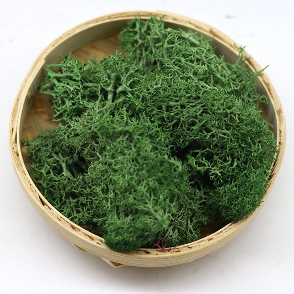 Wedding Accessories Wedding Fl – обзор и цена Sphagnum Moss Dry