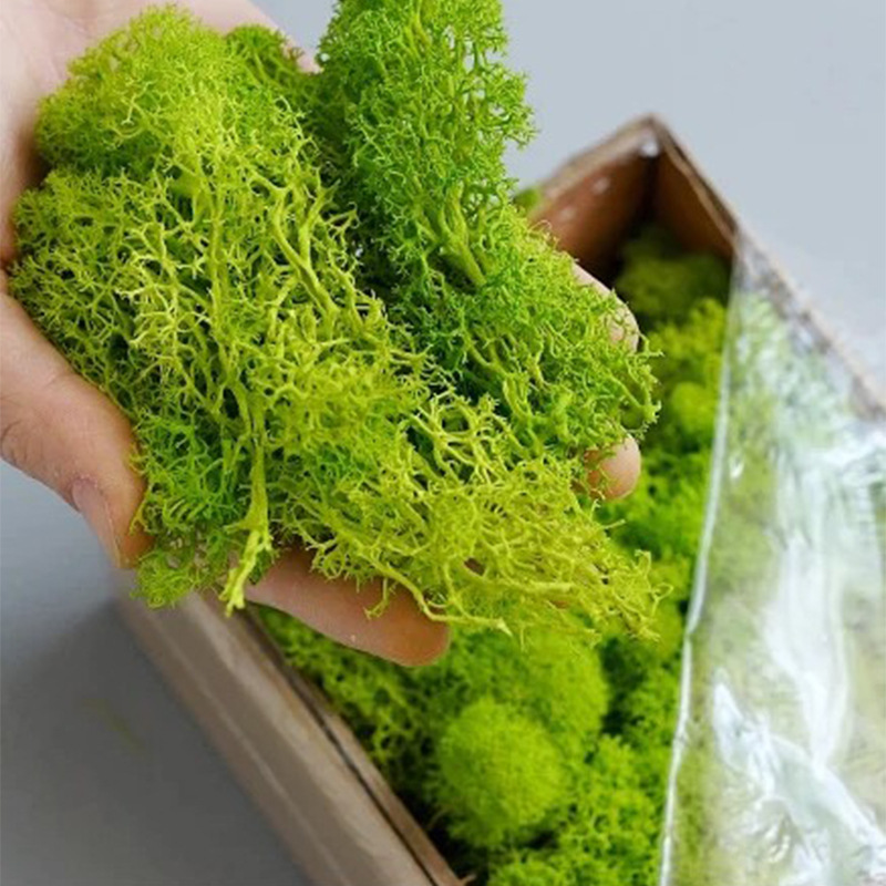 Artificial Green Plants Mini L – обзор и цена Sphagnum Moss Dry