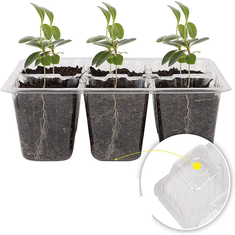 Seed Starter Trays with Grow L – обзор и цена Humidity Dome Kit