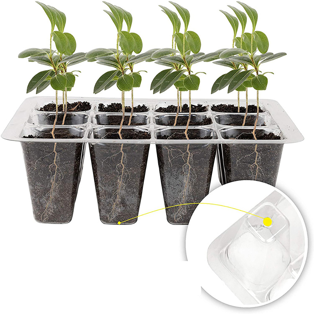 Seed Starter Trays with Grow L – обзор и цена Humidity Dome Kit