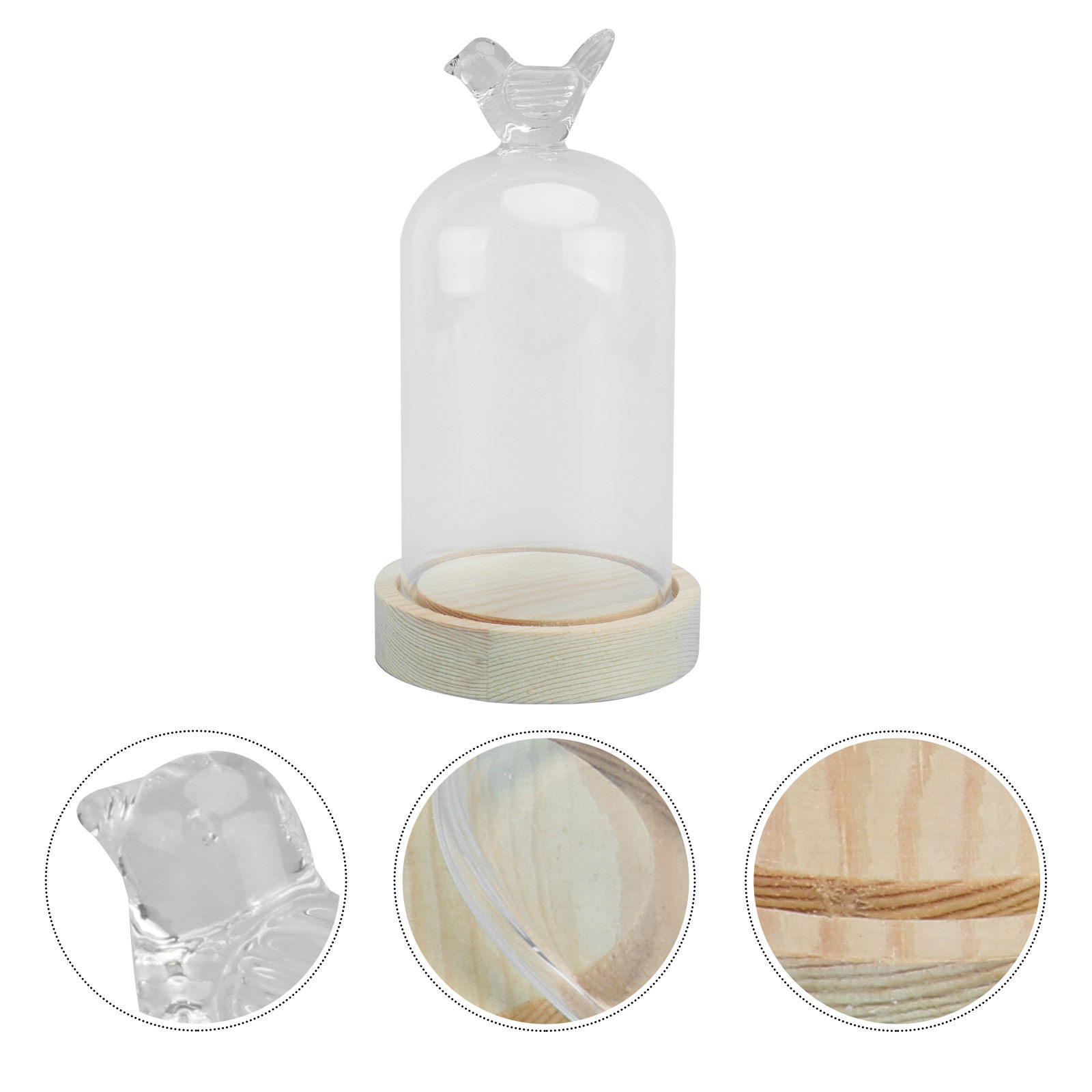 1Pcs Mini Glass Dome Cover Bir – обзор и цена Plastic Dome Clear