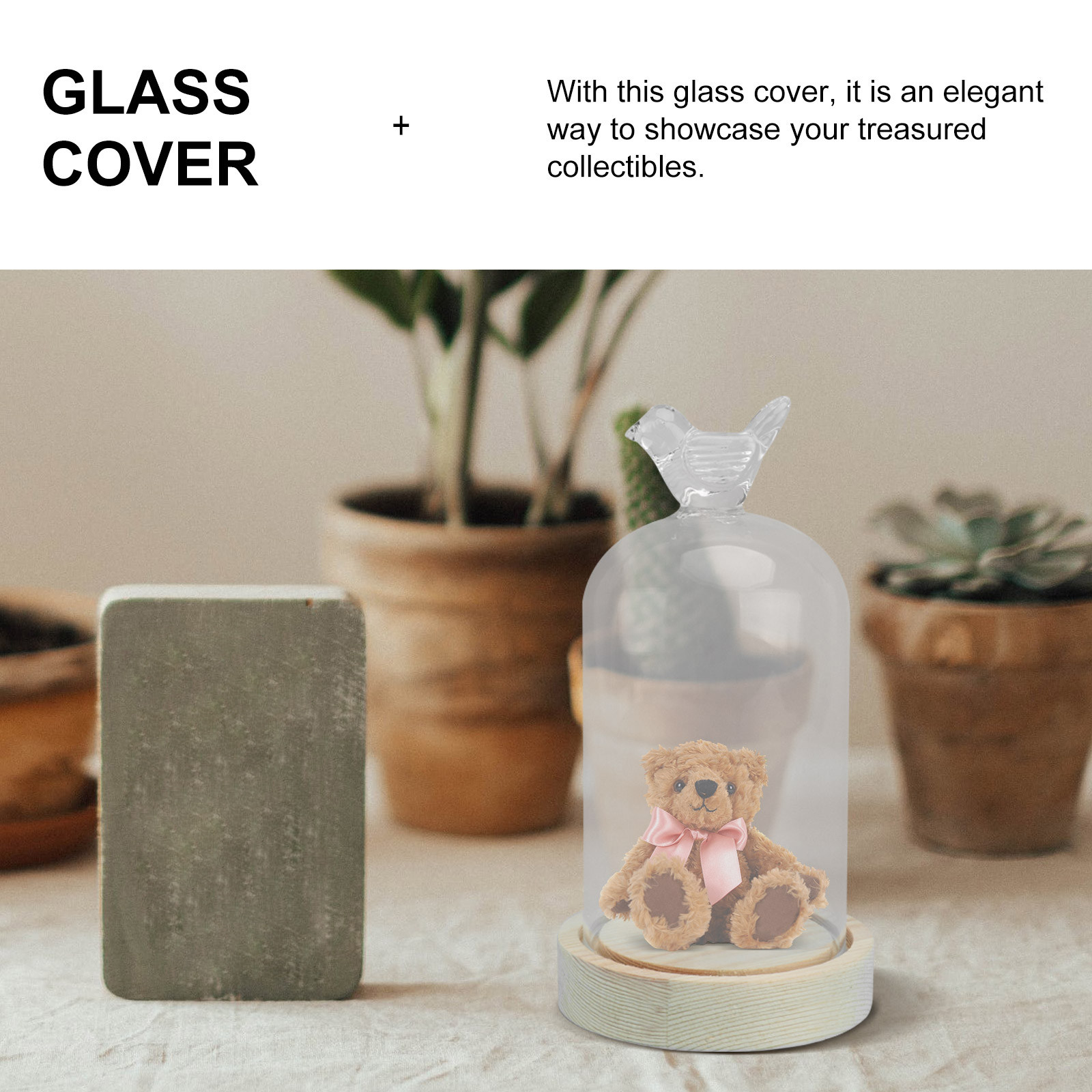 1Pcs Mini Glass Dome Cover Bir – обзор и цена Plastic Dome Clear