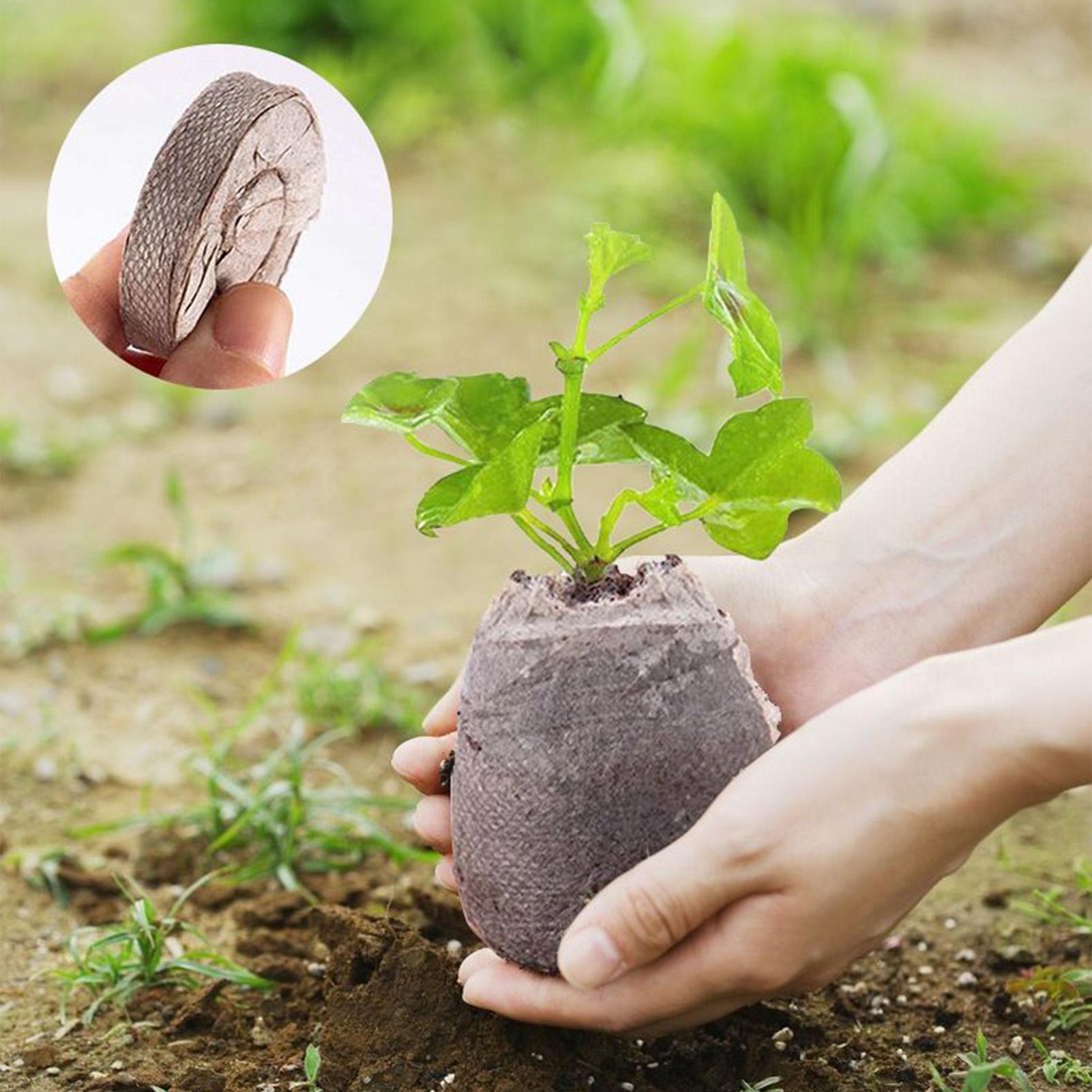 100 Piece Potting Mix Trays 30 – обзор и цена Peat Pellet Tray