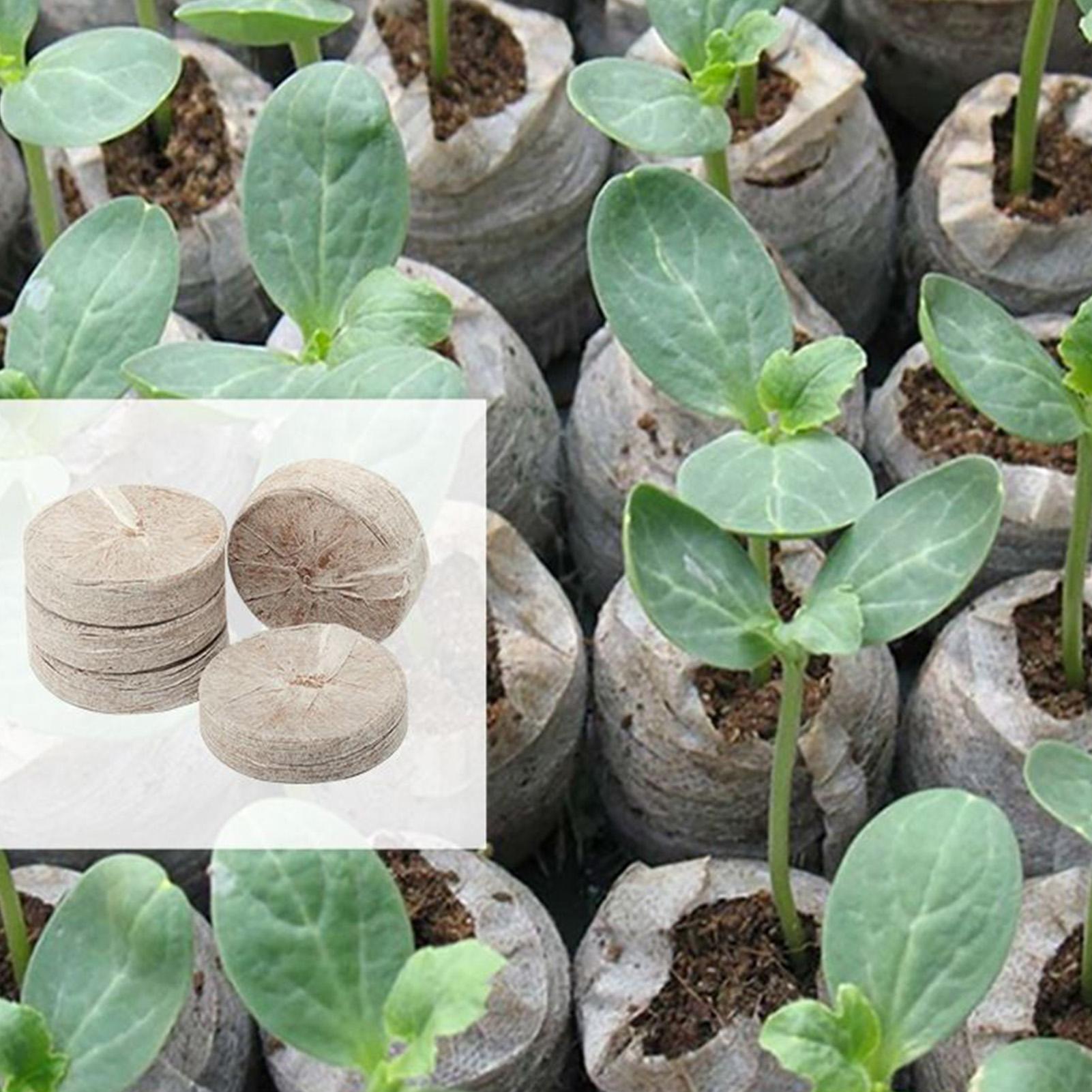 100 Piece Potting Mix Trays 30 – обзор и цена Peat Pellet Tray