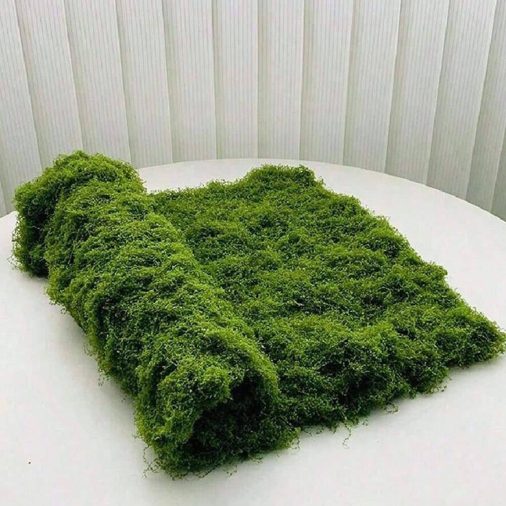 1*1m Fake Moss DIY Crafts Gras – обзор и цена Sphagnum Moss Dry