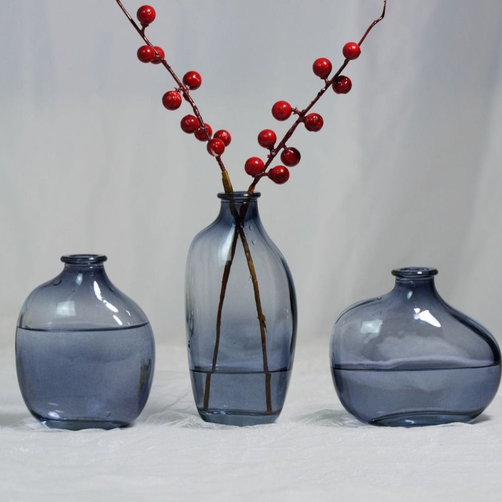 Fashion Retro Flower Vase Glas – обзор и цена Propagation Station Vase