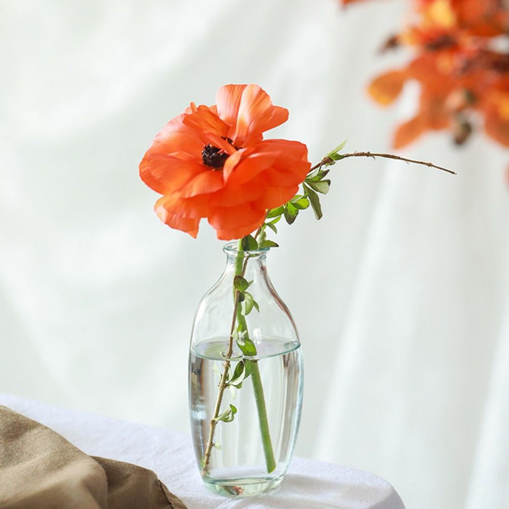 Fashion Retro Flower Vase Glas – обзор и цена Propagation Station Vase