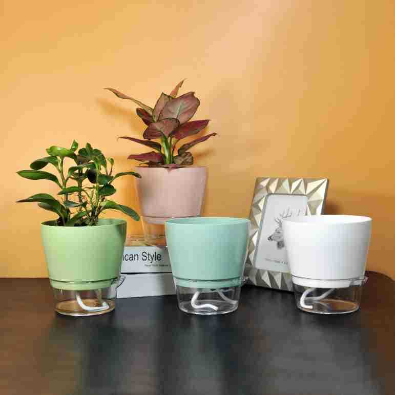 Lazy Flower with Drainage Hole – обзор и цена Self Watering Insert