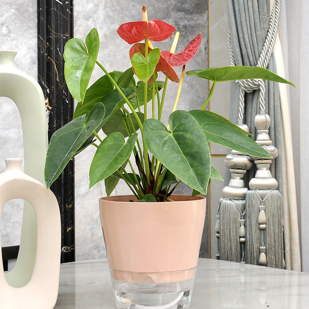 Lazy Flower with Drainage Hole – обзор и цена Self Watering Insert