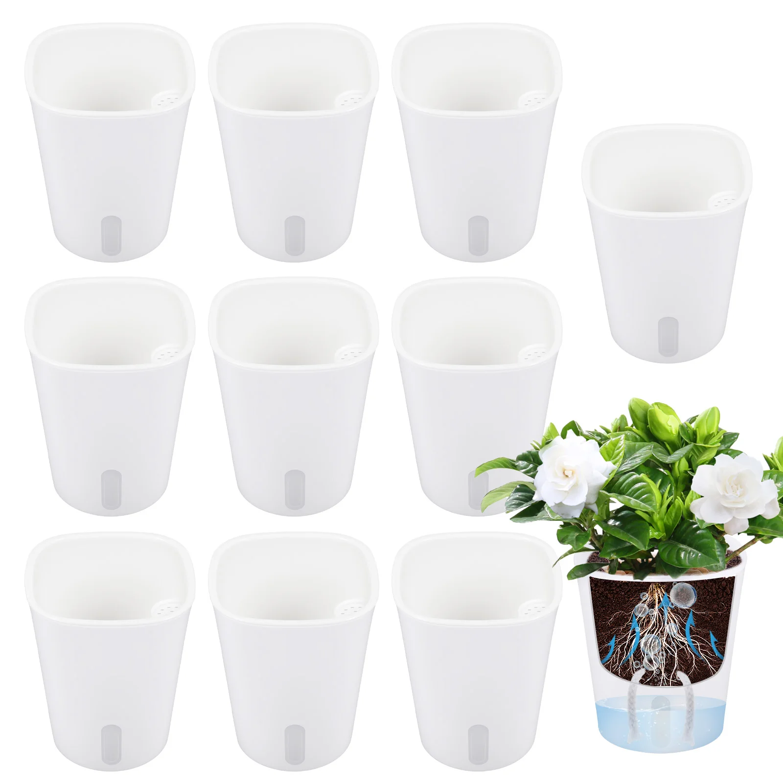 10 Pcs Self Watering Planter L – обзор и цена Self Watering Insert