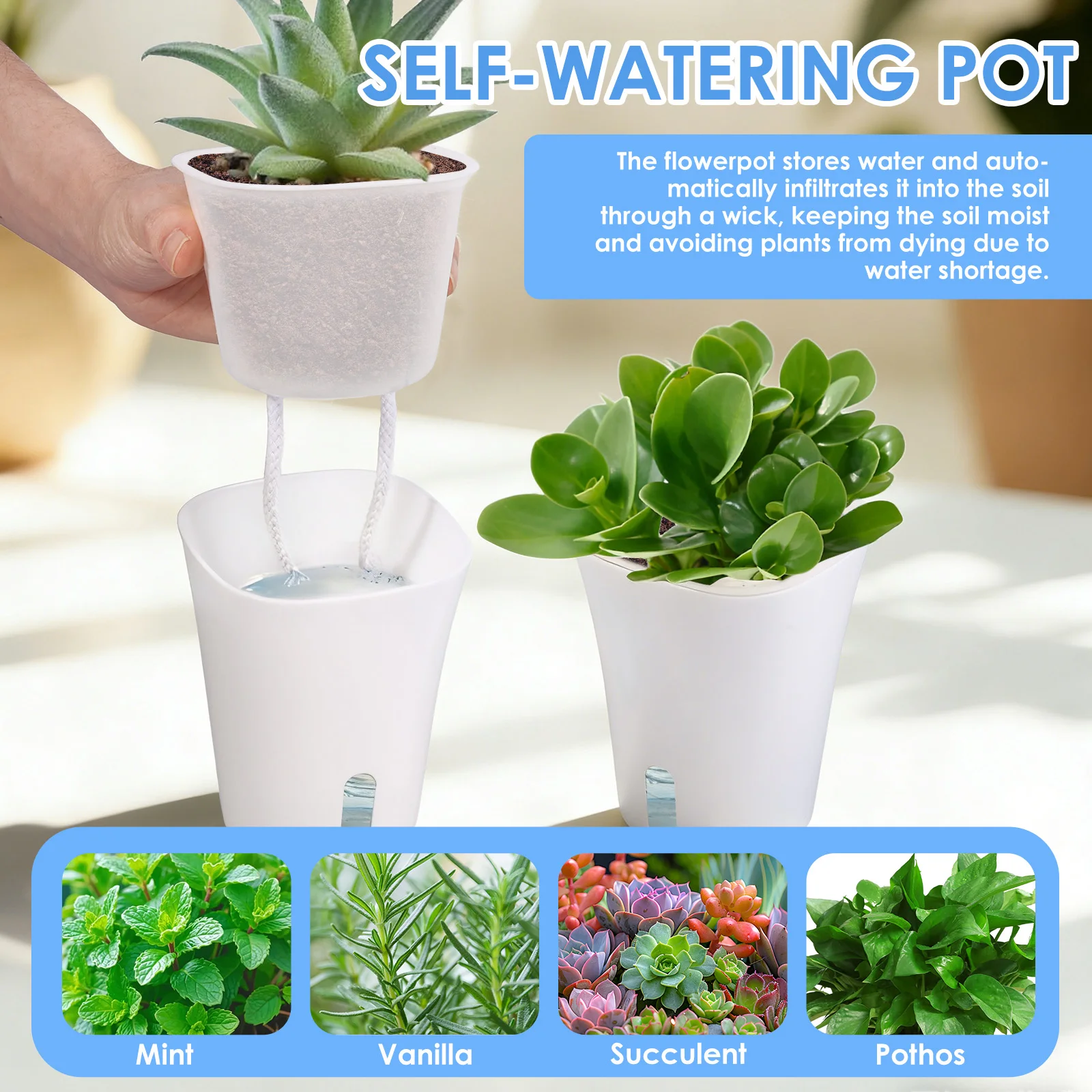10 Pcs Self Watering Planter L – обзор и цена Self Watering Insert