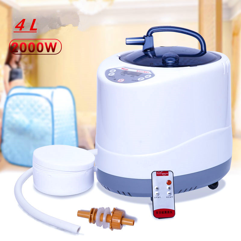 Steam Generator 220V/110V  EU  – обзор и цена Self Watering Insert