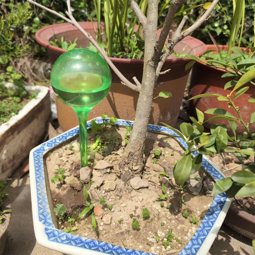 Automatic Plant Watering Bulbs – обзор и цена Self Watering Insert