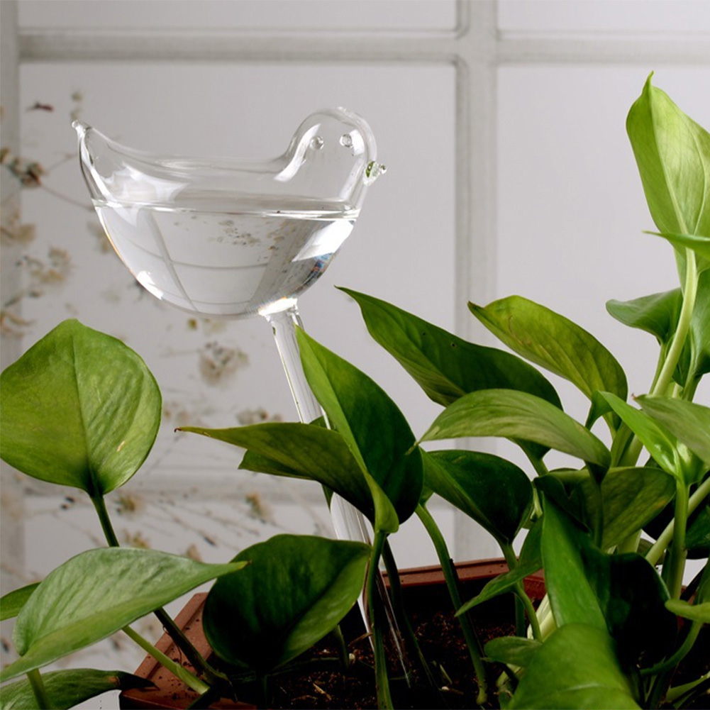 Automatic Plant Watering Bulbs – обзор и цена Self Watering Insert