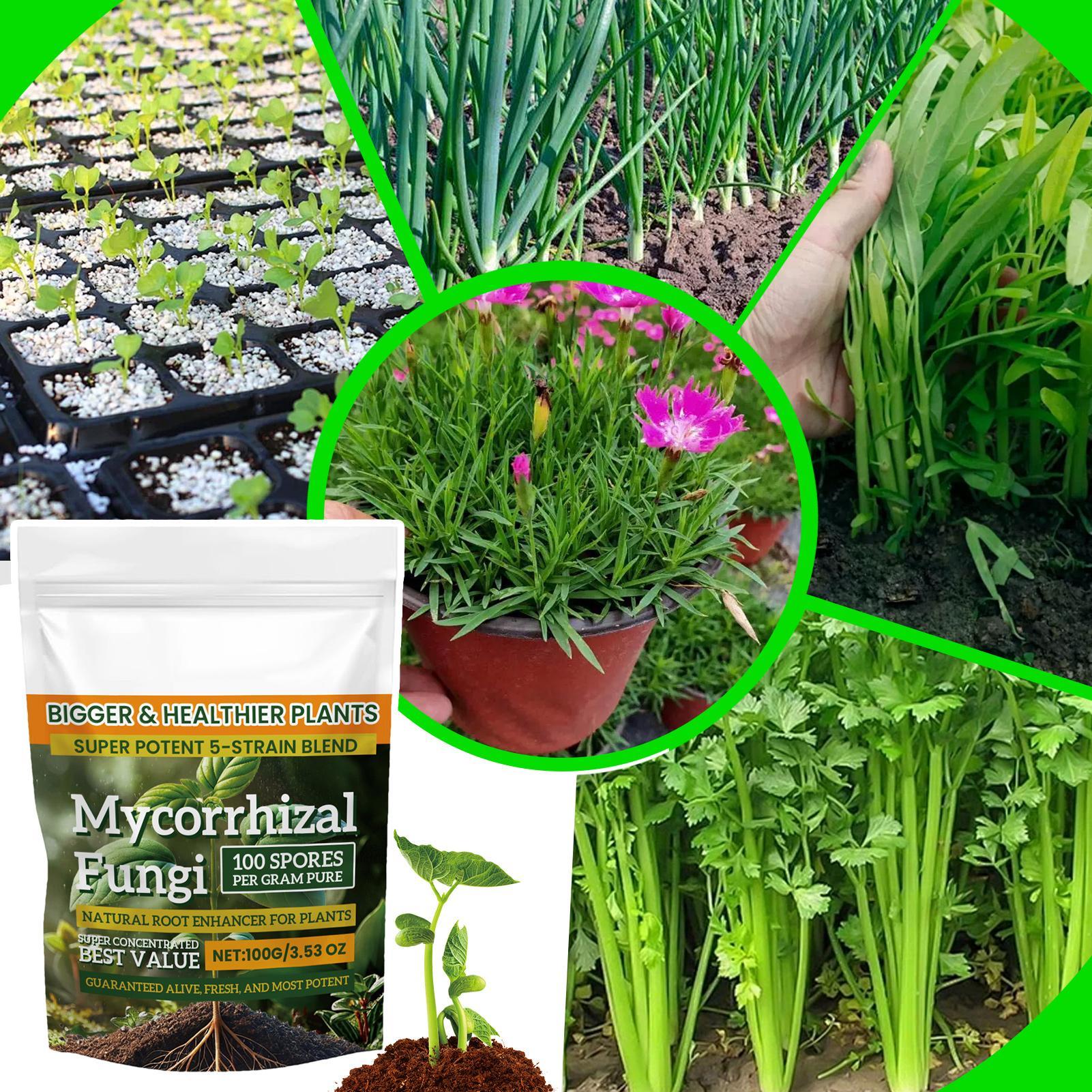 Plant Growth Enhancer Powder 1 – обзор и цена Rooting Hormone Powder