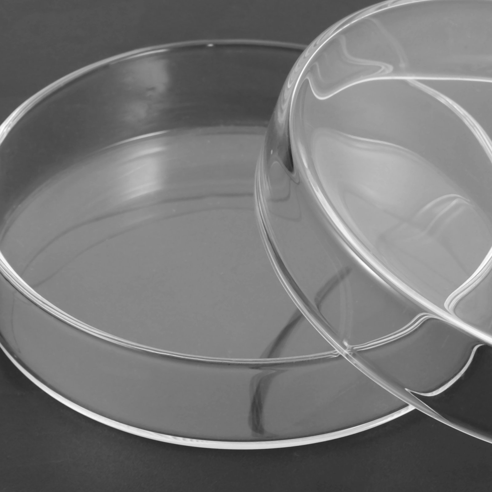 Glass Petri Dish High Borosili – обзор и цена Agar Tissue Culture