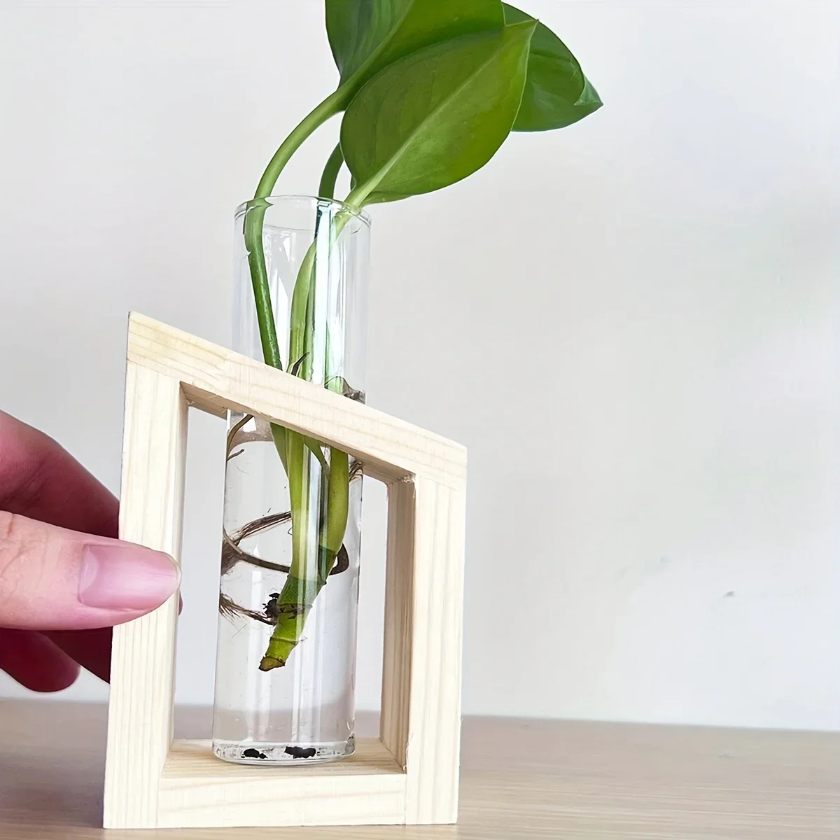 Test Tube Glass Vase Plant Pro – обзор и цена Propagation Station Vase