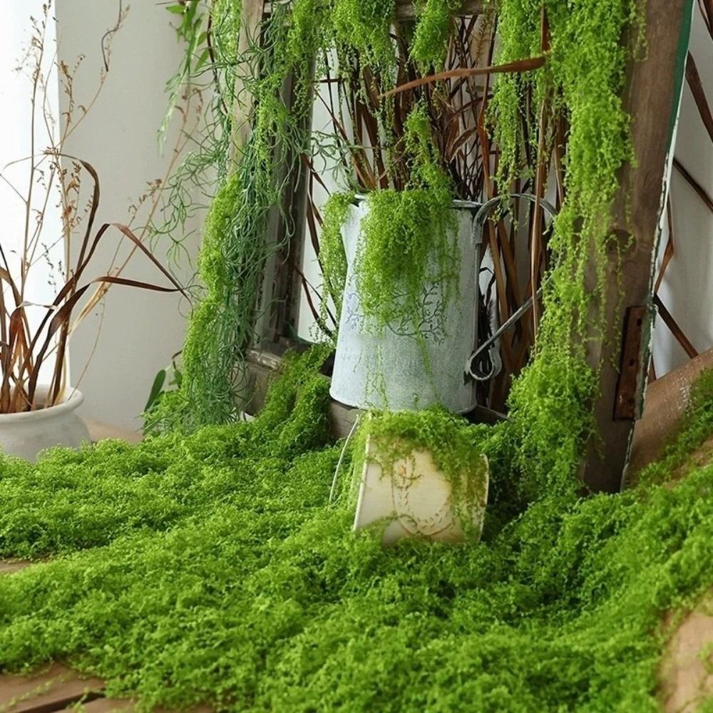 DIY Artificial Grass Rug Durab – обзор и цена Sphagnum Moss Dry
