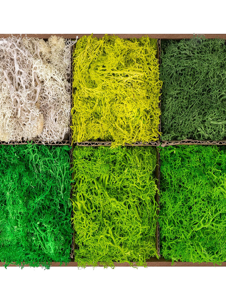 Mini Artificial Green Plants E – обзор и цена Sphagnum Moss Dry