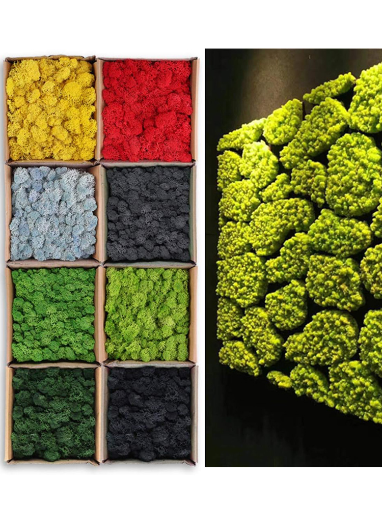 Mini Artificial Green Plants E – обзор и цена Sphagnum Moss Dry